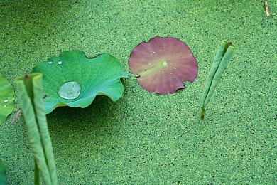 《使命召唤19》1.09更新将来 降低游戏容量